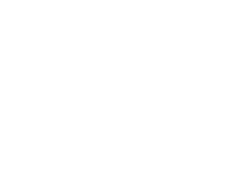 VORA